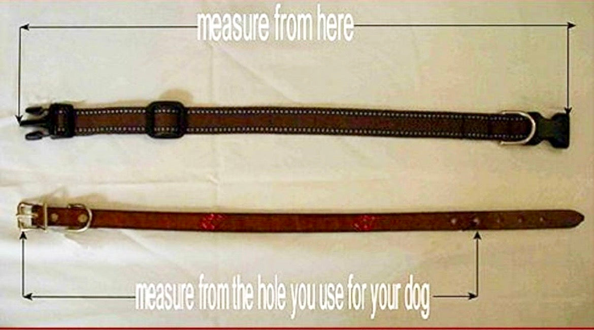 Custom Handcrafted Leather Dog Collars